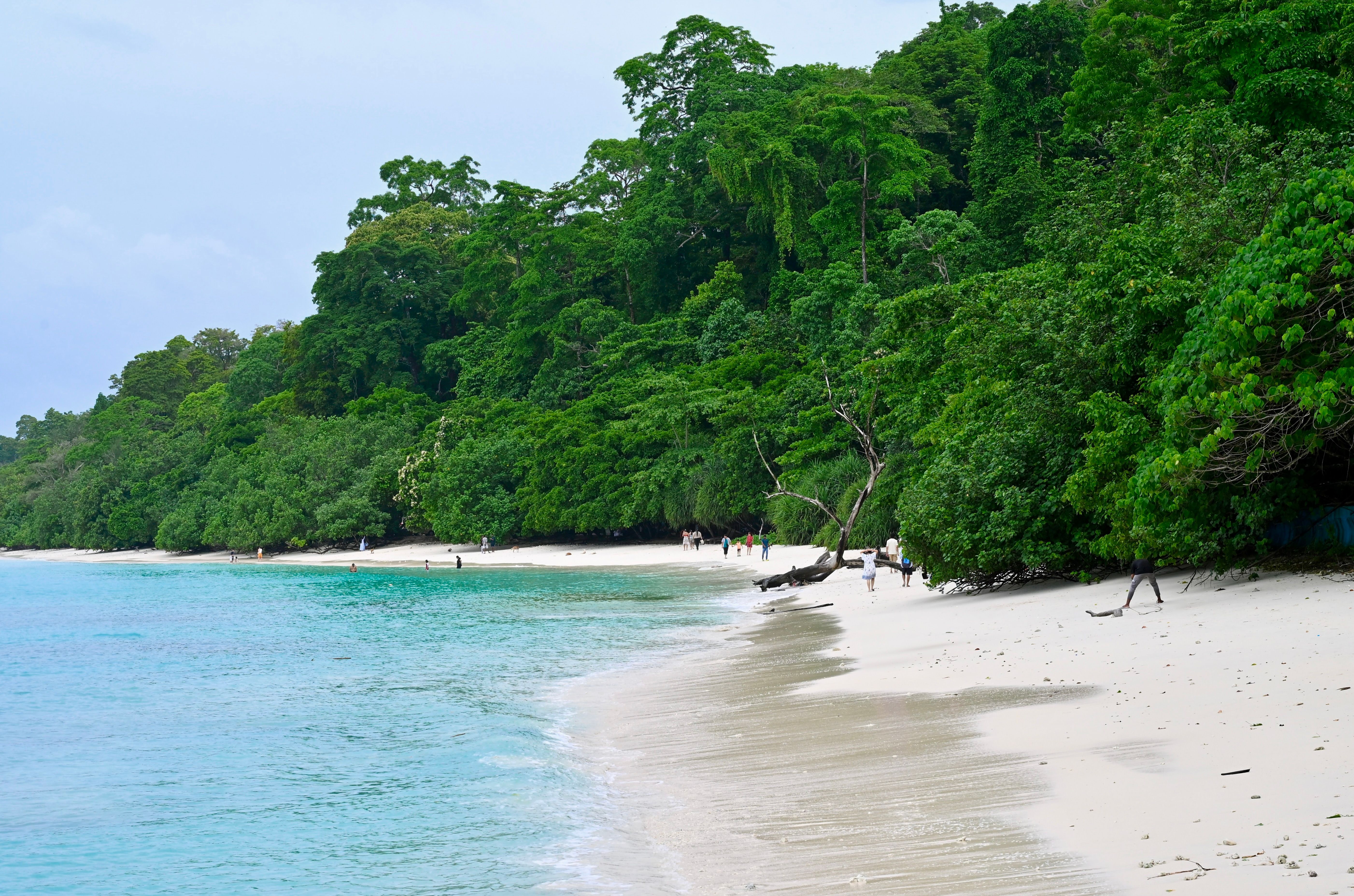 Radhanagar Beach Havelock