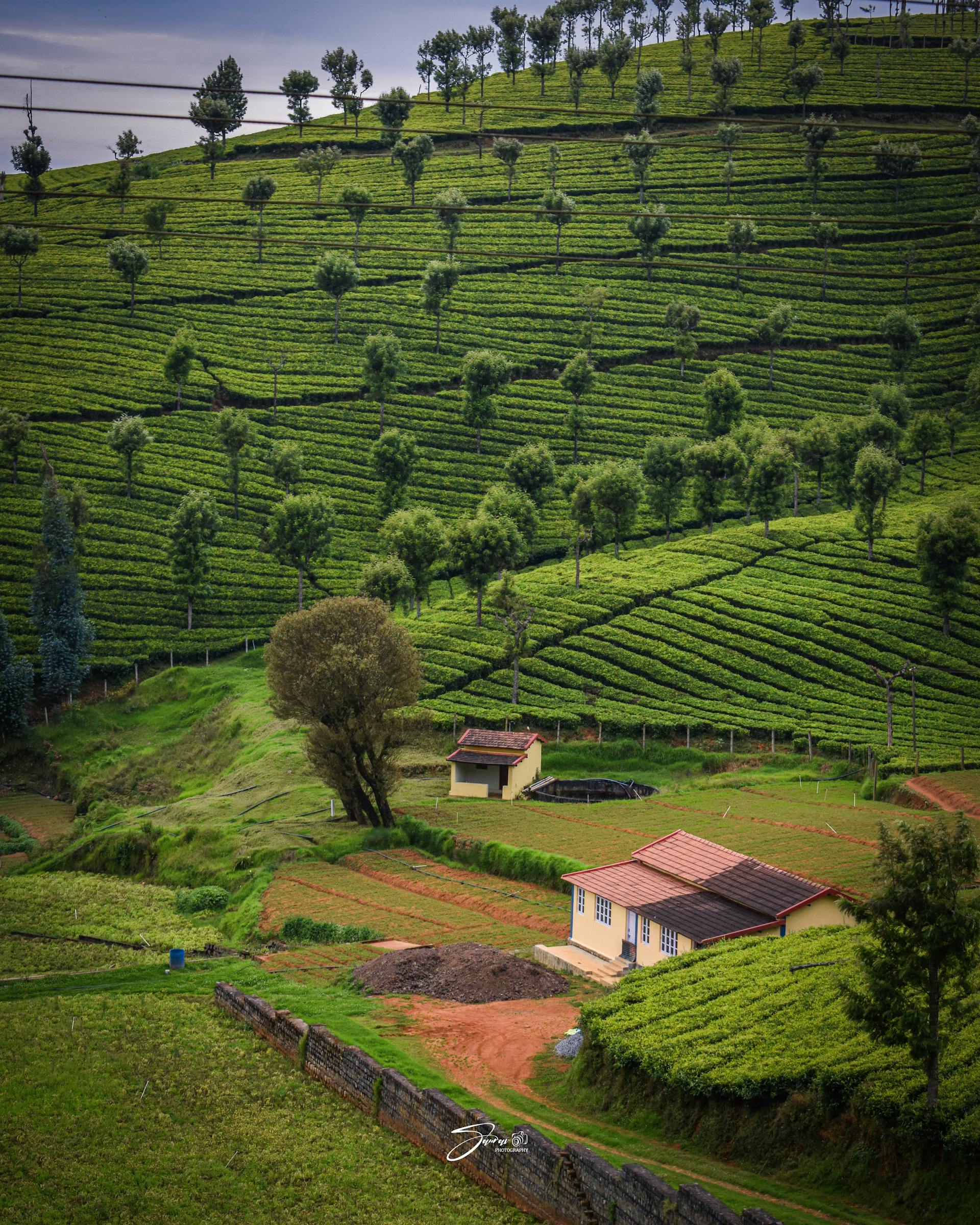 Ooty Tamilnadu