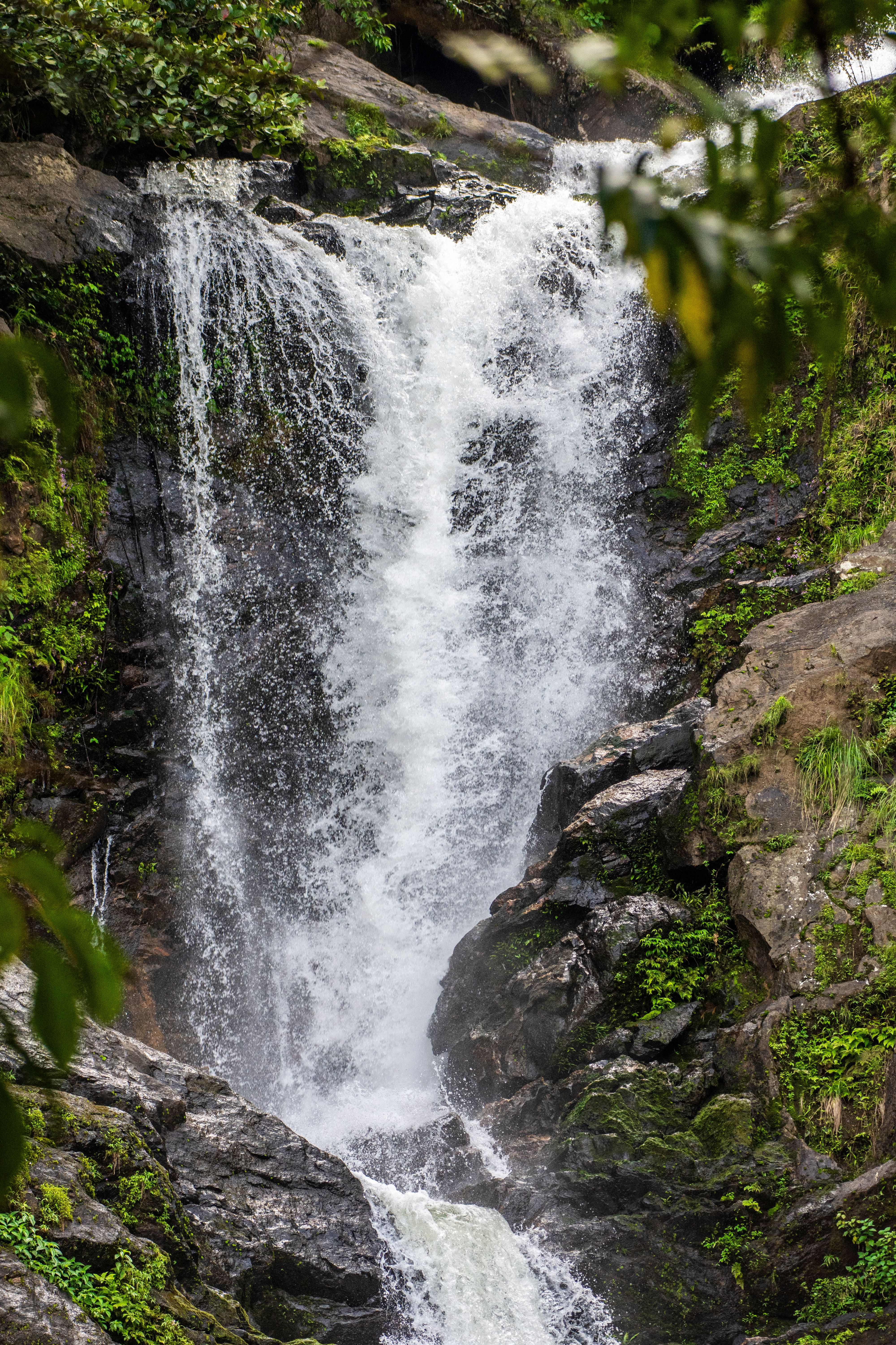 Wayanad Hills